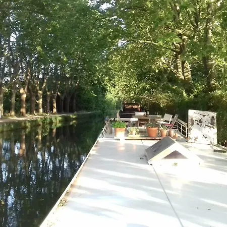 Sur Peniche La Tortue Tekne Ramonville-Saint-Agne